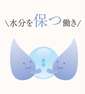 「水分を保つ働き」の解説イラスト。中央の水分を優しくキープするキャラクター