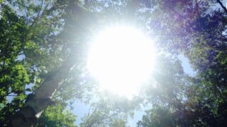 降り注ぐ太陽光