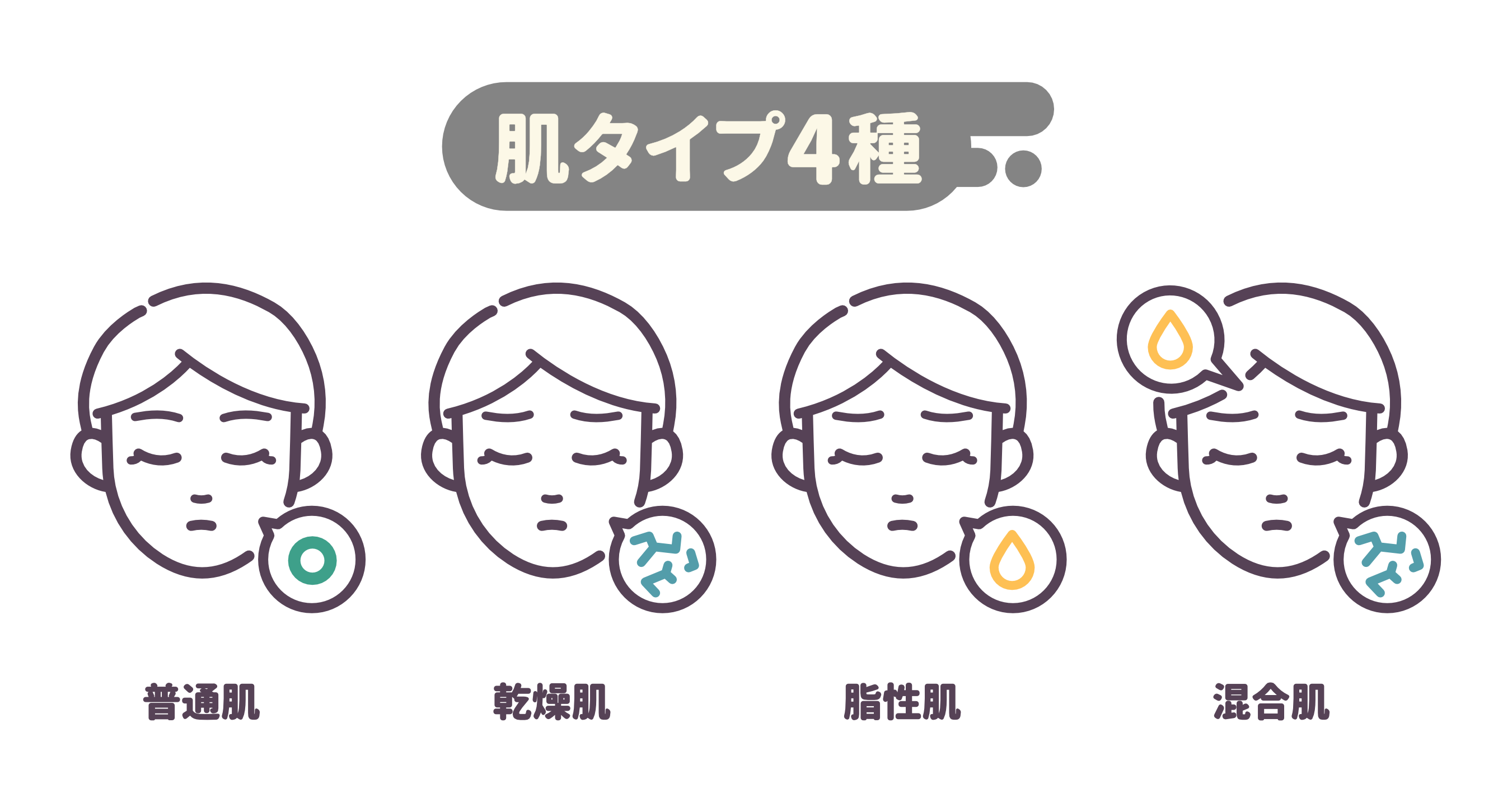 肌タイプ別のケア方法の紹介。普通肌、乾燥肌、脂性肌、混合肌の4つのタイプに分類された女性のイラスト図解