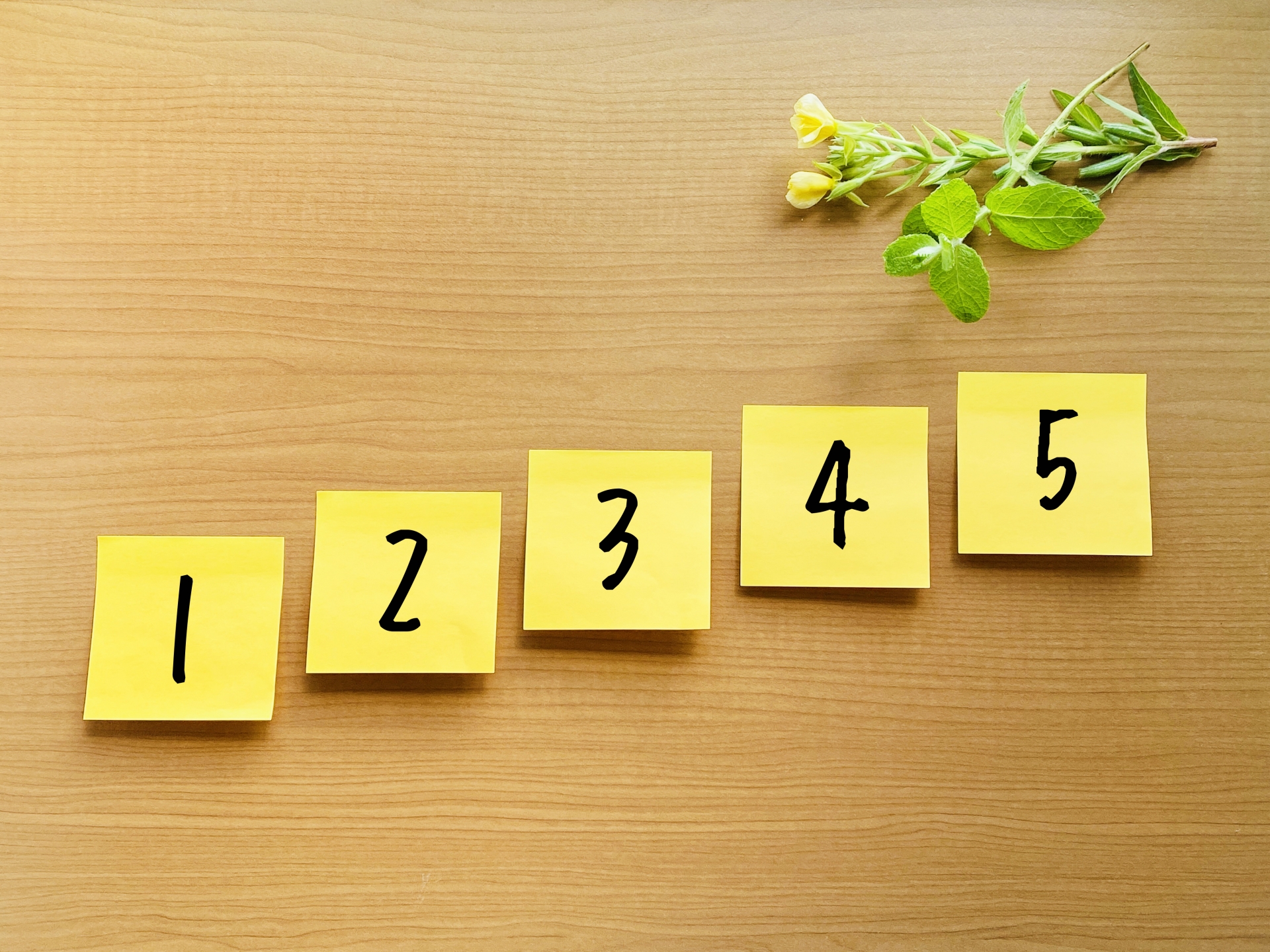 1から5までの数字が並んだ付箋と植物。正しいスキンケア手順のステップを表すイメージ画像
