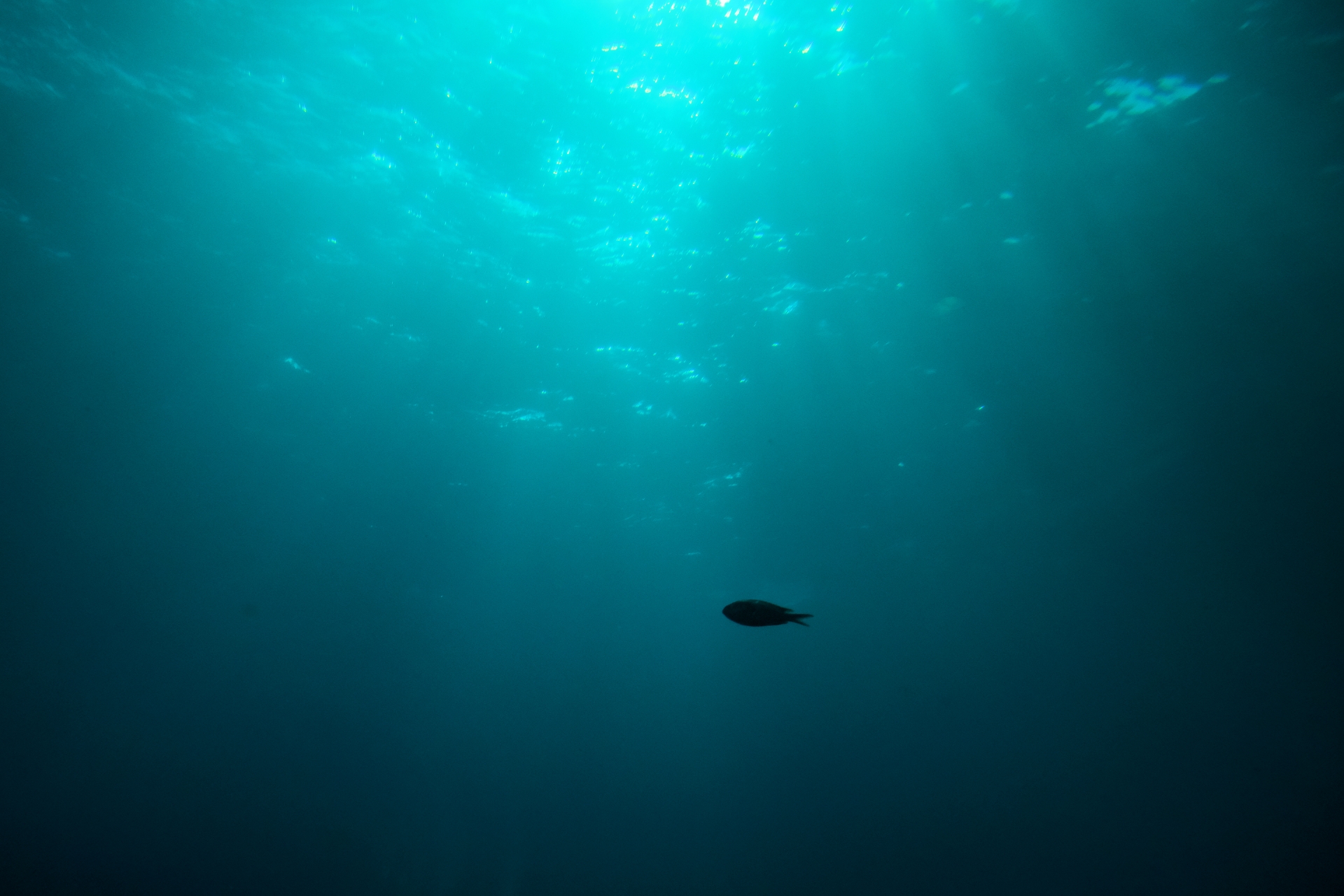 美肌効果をサポートする海洋深層水のイメージ。内側と外側からのミネラルケアの両立