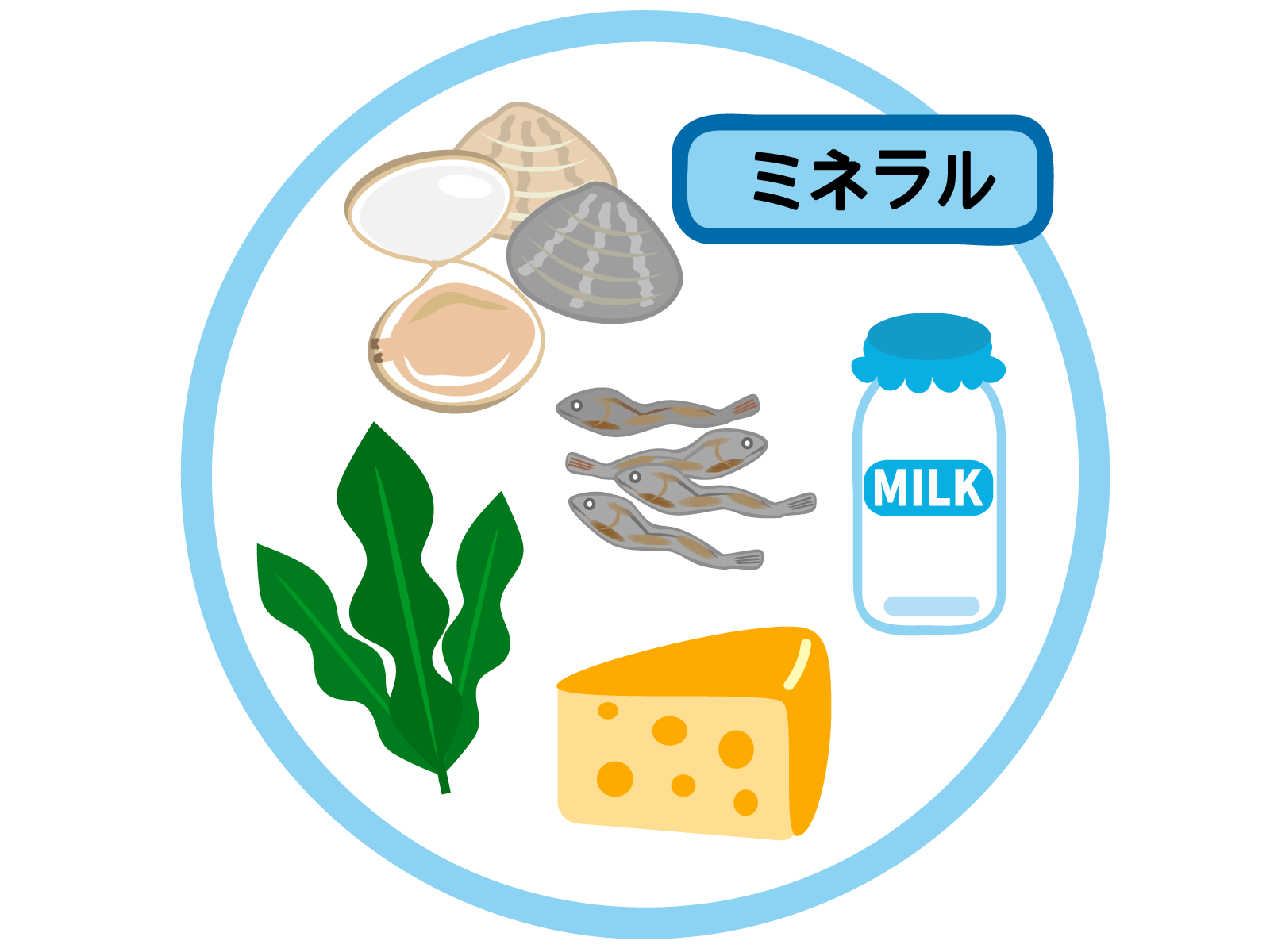 肌のケアに役立つミネラルを豊富に含む食材（海藻、魚、貝類、乳製品、チーズ）のイラスト図解