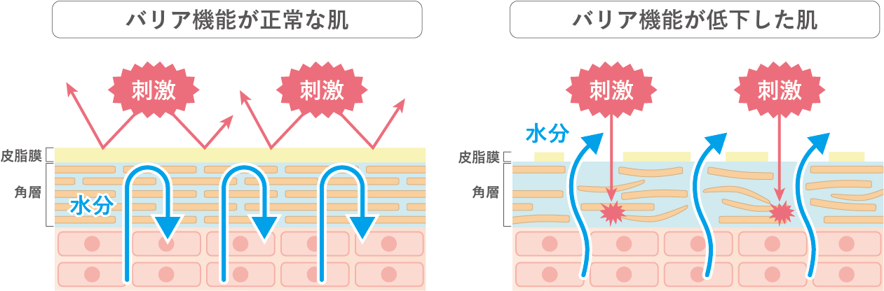 肌のバリア機能の仕組みを示す解説図。『バリア機能が正常な肌』と、肌摩擦などで『バリア機能が低下した肌』の断面を比較し、水分の蒸発や外部刺激の侵入の違いを表したイメージ図