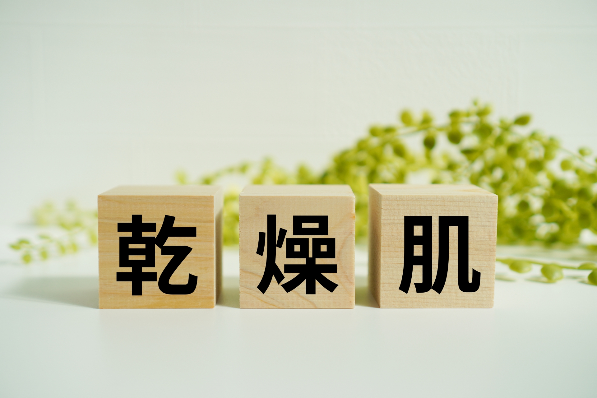 乾燥肌の特徴を説明する「乾燥肌」の文字ブロック