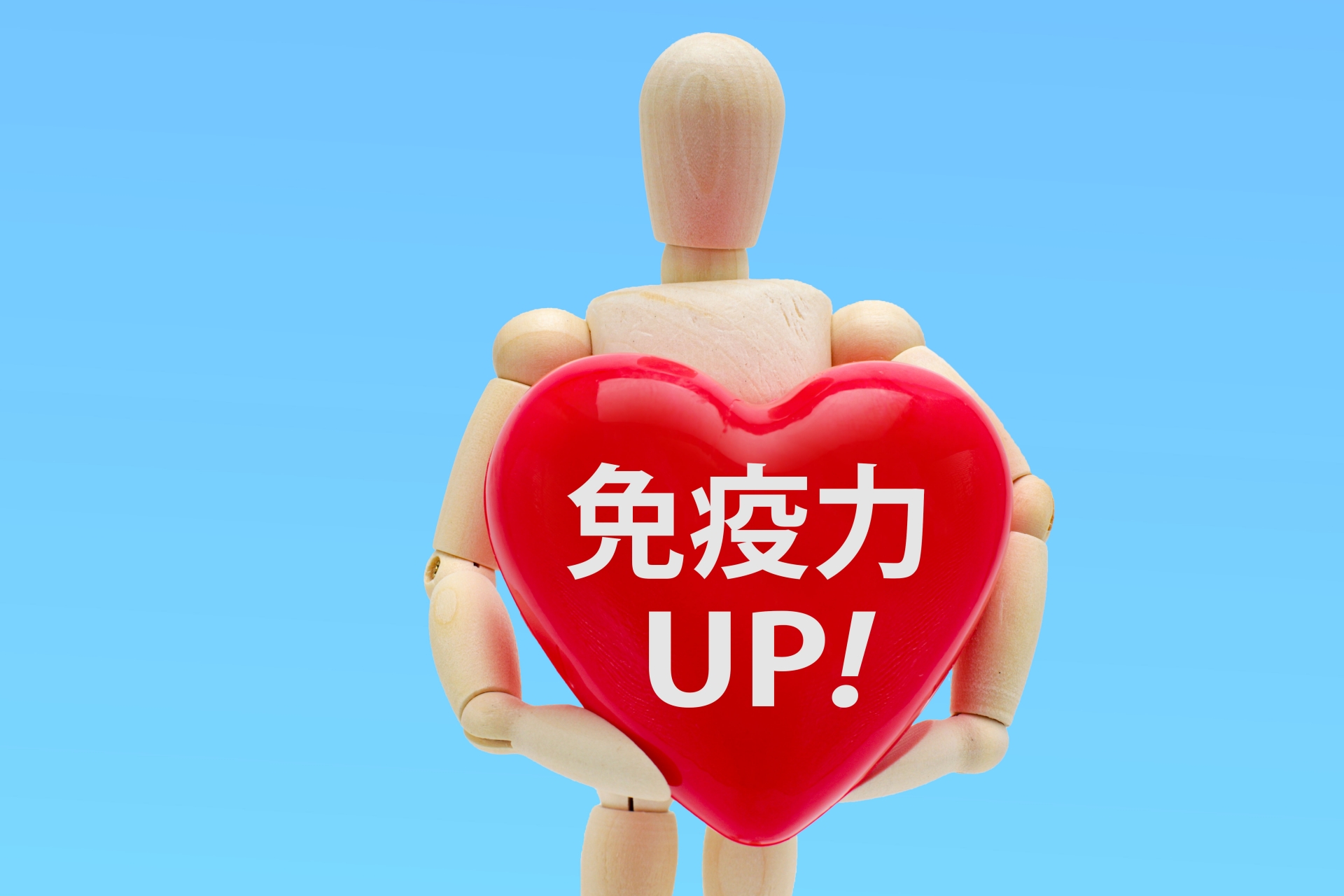 「免疫力UP」と入った赤いハートを両手で抱える人形