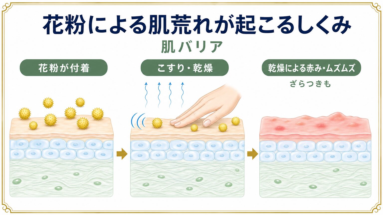 肌バリアと花粉の関わりを図解したイメージ